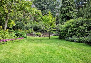 Optimiser l'expérience du jardin à Montrond-les-Bains